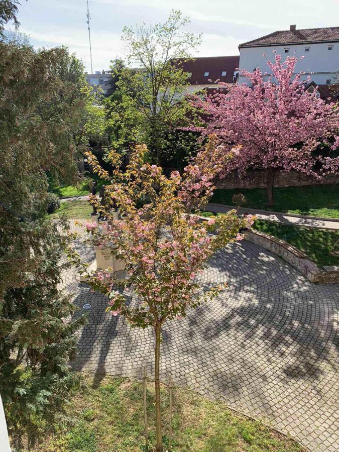 Negy Evszak Apartman- Apartment