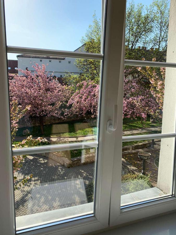 Negy Evszak Apartman- Apartment *